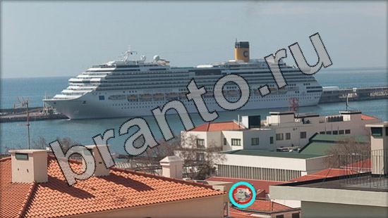 ответы на игру Где же кот Уровень 1641