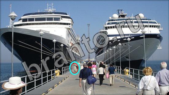 Подсказки на игру Где же кот Уровень 1642