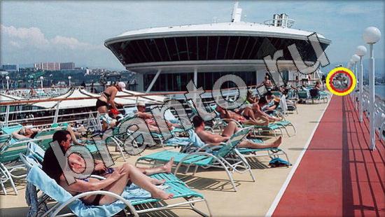 ответы к игре Где же кот Уровень 1645