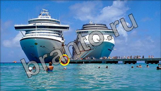 Где же кот игра ответы в одноклассниках Уровень 1647