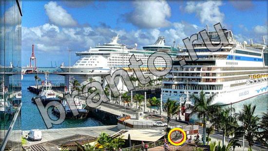 Где же кот игра помощь Уровень 1655