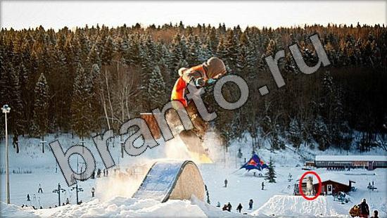 ответы Где же кот Уровень 1665