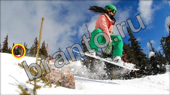 Где же кот игра ответы Уровень 1669