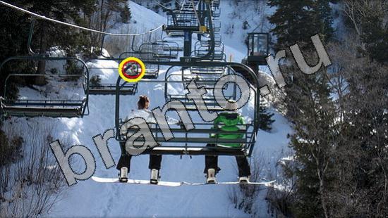 ответы на игру Где же кот Уровень 1674