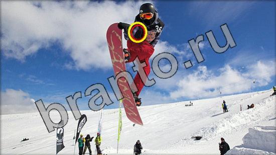 ответы на игру Где же кот Уровень 1676