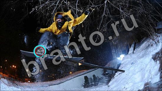 Где же кот ответы в одноклассниках Уровень 1679