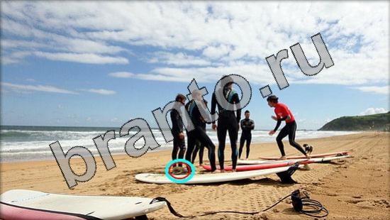 Подсказки на игру Где же кот Уровень 1722