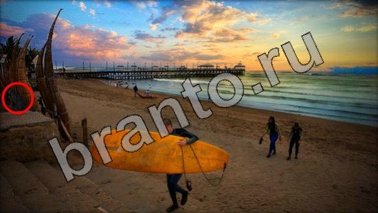 ответы к игре Где же кот Уровень 1725