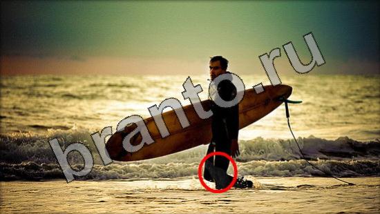 ответы на игру в одноклассниках Где же кот Уровень 1726