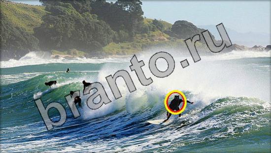 Где же кот игра ответы в одноклассниках Уровень 1727