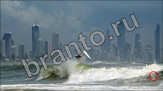 Где же кот? ответы Уровень 1728