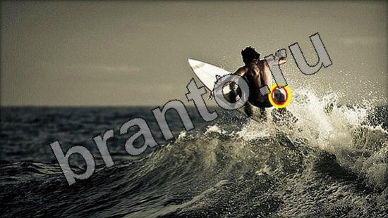 Где же кот? помощь Уровень 1730