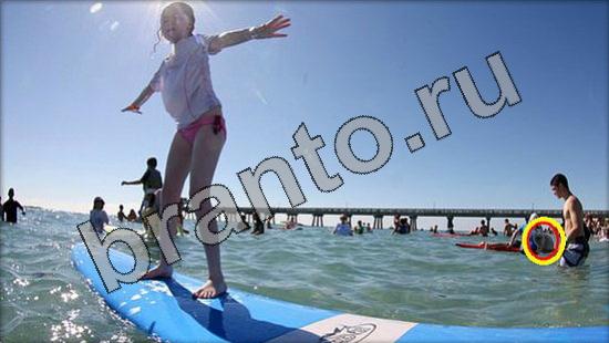 решебник на игру Где же кот Уровень 1731