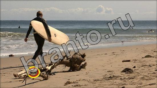 Где же кот игра ответы Уровень 1733