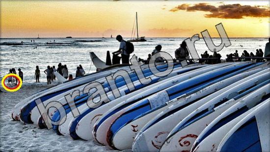 Где же кот игра помощь Уровень 1735