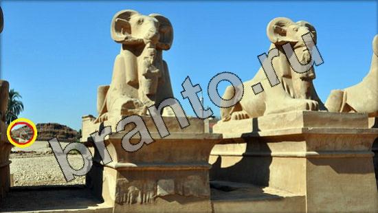 игра в одноклассниках Где же кот ответы Уровень 1750