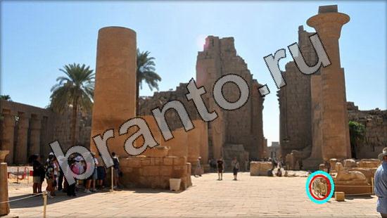 ответы на игру Где же кот Уровень 1754