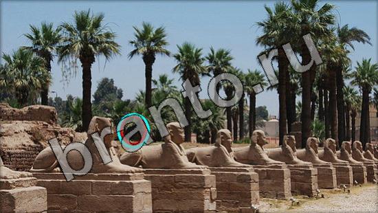 ответы в картинках на игру Где же кот Уровень 1757