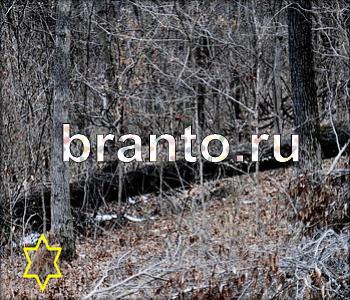 ответы на игру Ищи зверушек