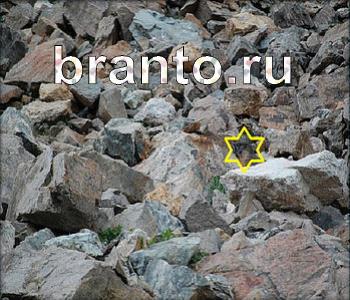 ответы на игру Ищи зверушек