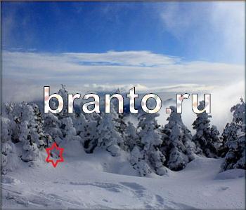 ответы на игру Ищи зверушек в контакте