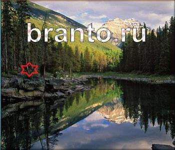 ответы на игру Ищи зверушек