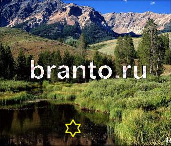 Ищи зверушек ответы