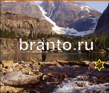 ответы на игру Ищи зверушек