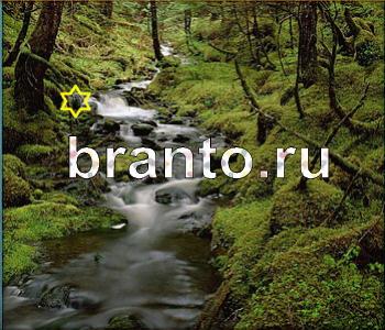 помощь на игру Ищи зверушек