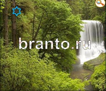 подсказки на игру Ищи зверушек