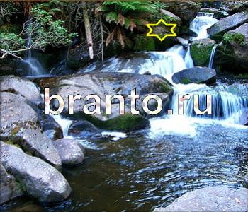 ответы на игру Ищи зверушек