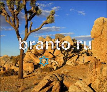 подсказки для игры Ищи зверушек