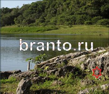 ответы к игре Ищи зверушек