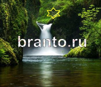 ответы на игру Ищи зверушек