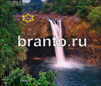 подсказки к игре Ищи зверушек