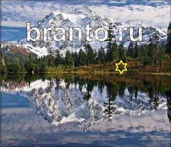 ответы к игре Ищи зверушек