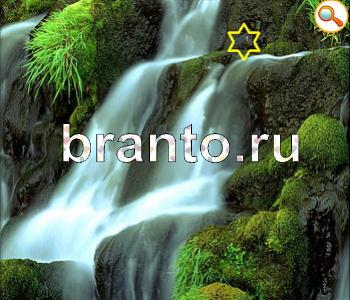 подсказки к игре Ищи зверушек