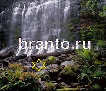 ответы на игру Ищи зверушек