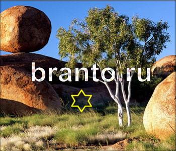 ответы на игру Ищи зверушек