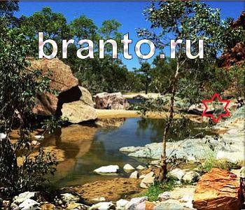 ответы на игру Ищи зверушек в контакте