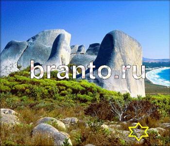 ответы на игру Ищи зверушек