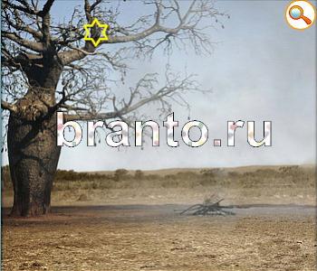 ответы на игру Ищи зверушек