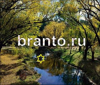 помощь на игру Ищи зверушек