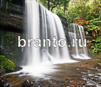 подсказки на игру Ищи зверушек