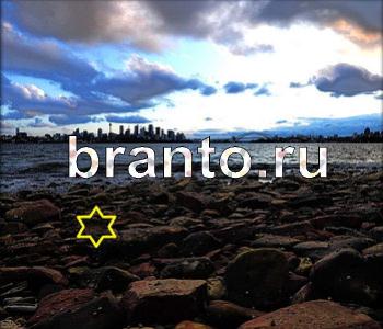 ответы на игру Ищи зверушек