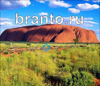 подсказки к игре Ищи зверушек