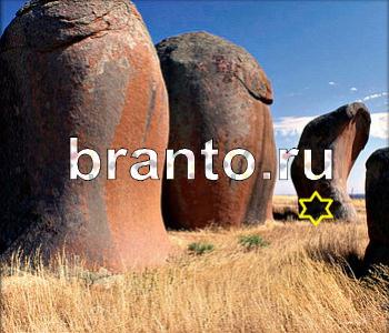 ответы на игру Ищи зверушек Австралия