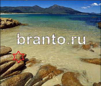 ответы на игру Ищи зверушек