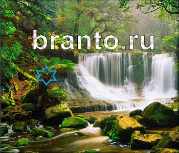 решебник на игру Ищи зверушек