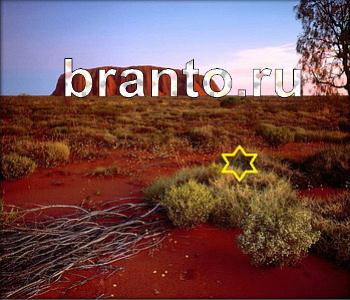 ответы на игру Ищи зверушек